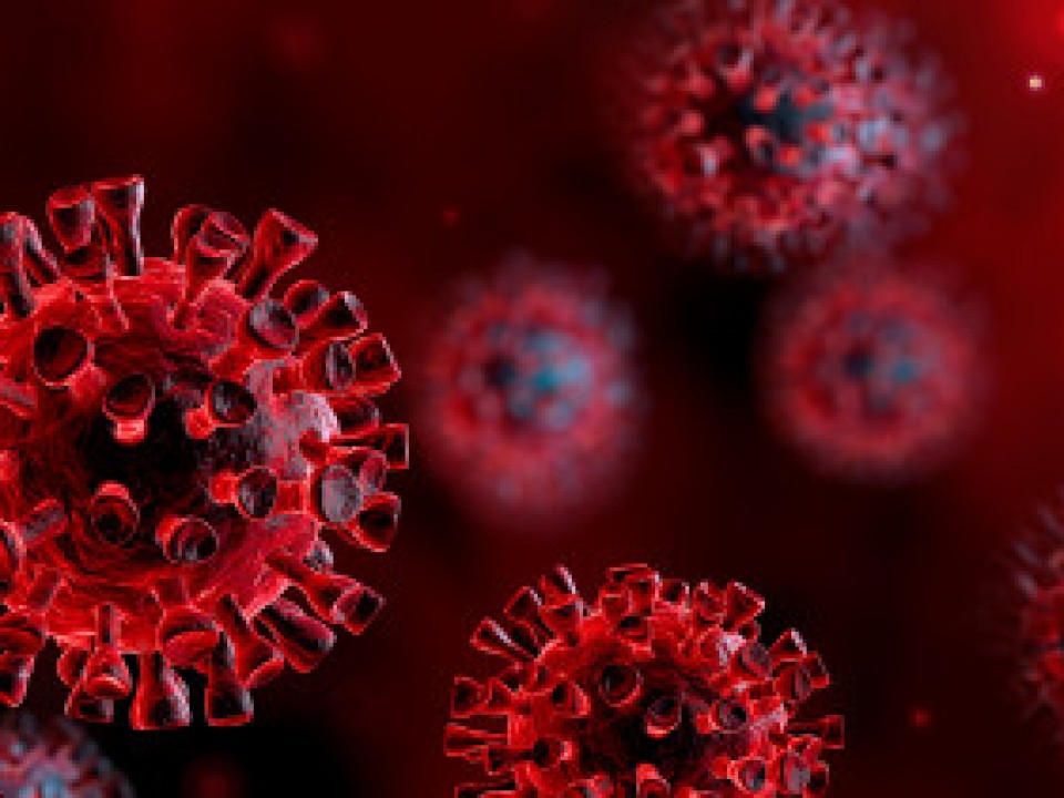 Nyíregyháza város tájékoztatója a koronavírussal kapcsolatban