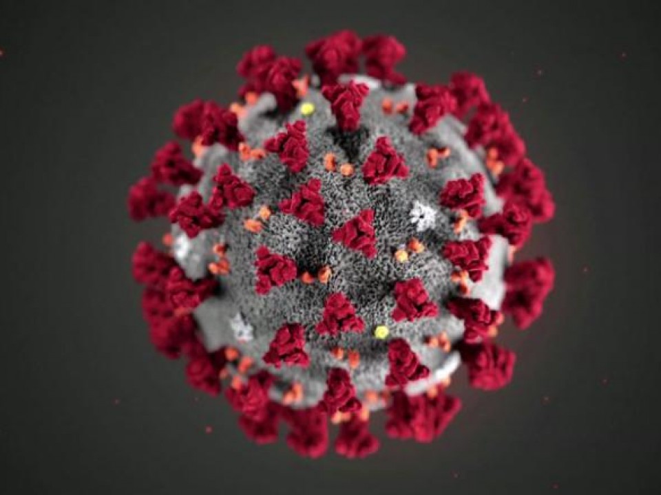 Koronavírus terjedése a világon - Körkép számokkal