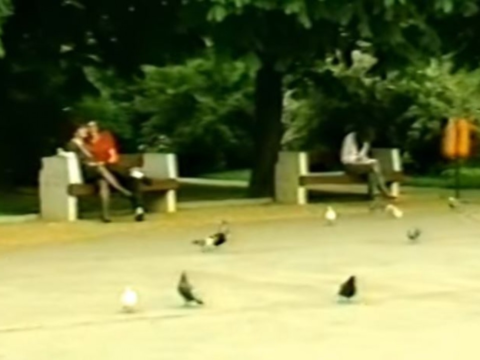 Ilyen volt 33 évvel ezelőtt a tavasz az állatparkban és Nyíregyházán!Videó!