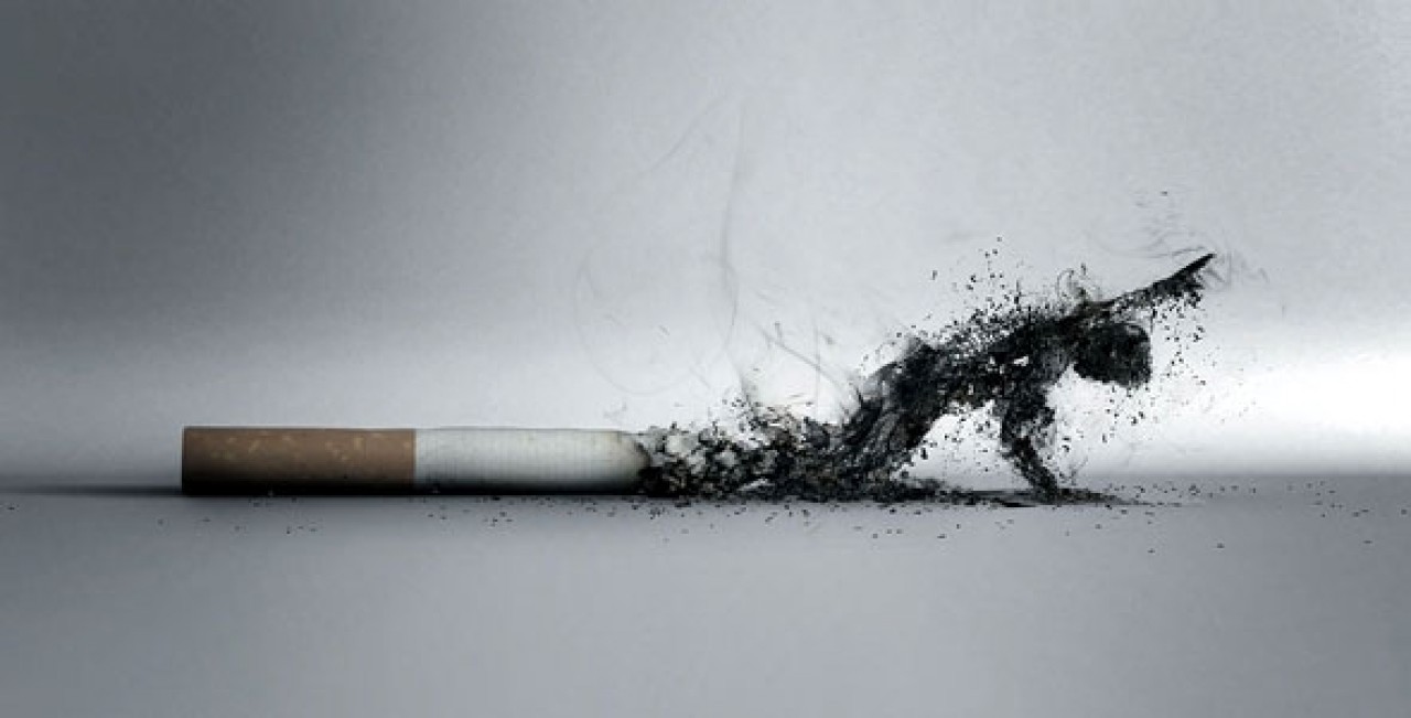 a dohányzás károsíthatja a májat