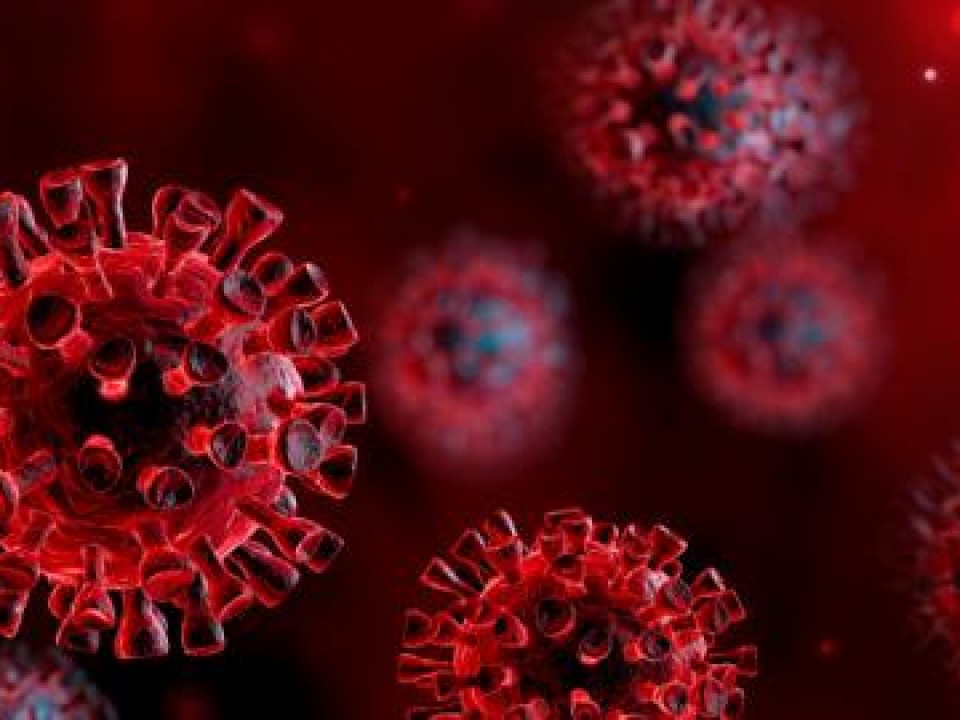 Koronavírus: 447 fertőzött és újabb két elhunyt
