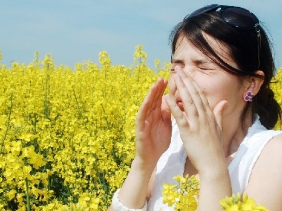 Az enyhe időjárás miatt idén korábban kezdődik a pollenszezon