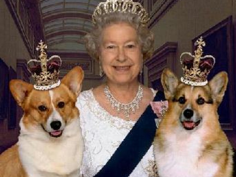 90 éves II. Erzsébet angol királynő