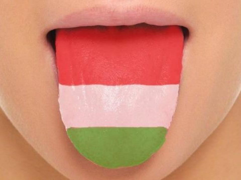 Ilyen az, amikor külföldiek magyarul próbálnak beszélni