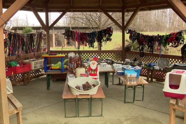 Karácsonyi bazár az Állatbarát Alapítványnál: ajándékok családtagjainknak és négylábú kedvenceinknek!