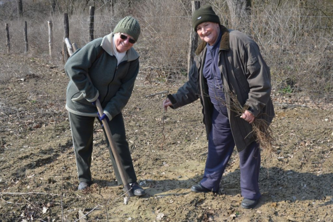 Ismét önkéntes faültetés a Sóstói-erdőben
