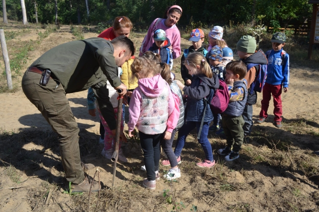 A Sóstói-erdőben túráztak a gyerekek