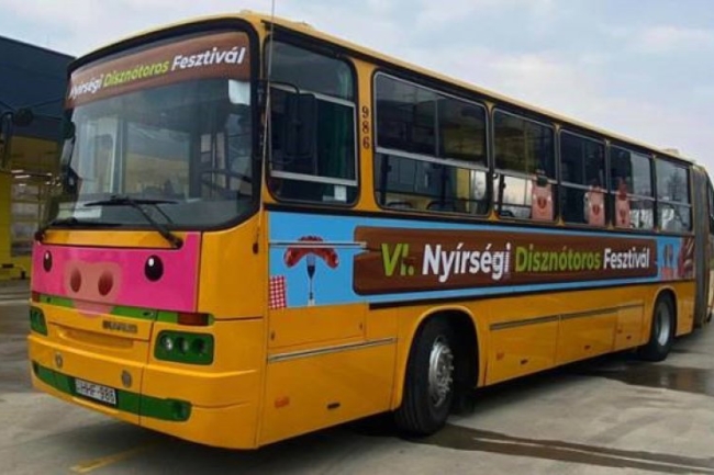 Hoznak-visznek: ingyenes buszjáratokkal érkezhetünk a böllérversenyre