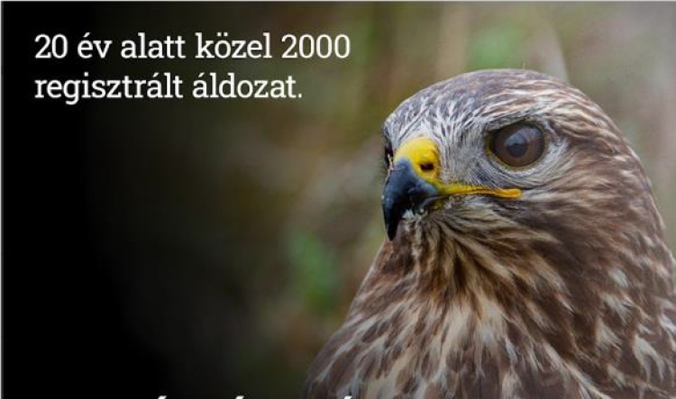 20 év alatt 2000 áldozat - A megmérgezett állatok már hallgatnak