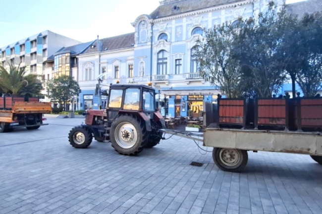 A NYÍRVV már tud valamit az időjárásról? - A nyarat idéző növények is helyükre kerültek!