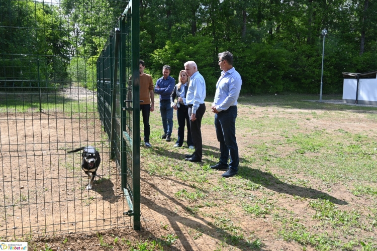 Állatvédelem – A felelős állattartásra és örökbefogadásra hívják fel a figyelmet