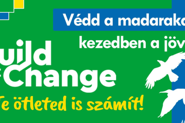 Védd a madarakat, kezedben a jövő!