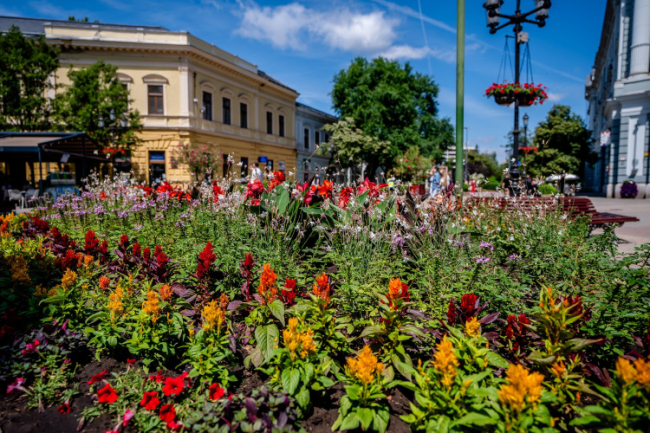Elképesztő siker az Entente Florale Europe-on - Ezüst minősítés és maximális pontszámmal különdíj a rangos versenyen!