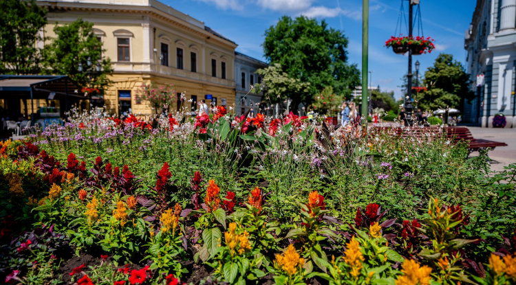 Elképesztő siker az Entente Florale Europe-on - Ezüst minősítés és maximális pontszámmal különdíj a rangos versenyen!