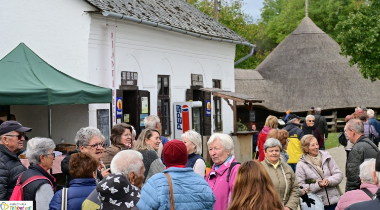 Idősek Világnapja – Egész nap a szépkorúakat ünnepelték a Múzeumfaluban