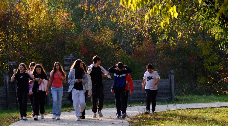 Szünetelő – Tematikus programok a Sóstói Múzeumfaluban
