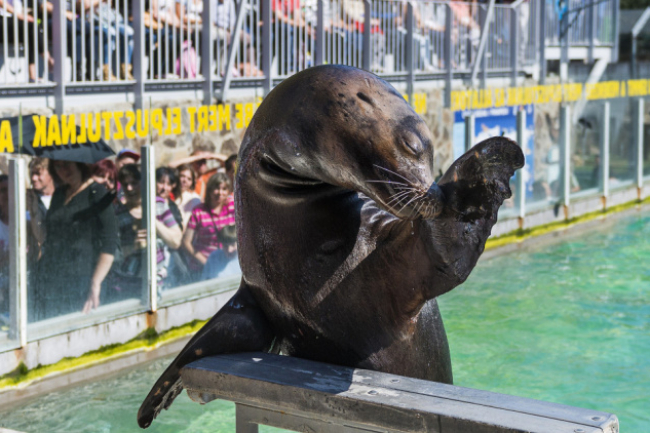 Több mint 600 ezer vendégéjszaka a hosszú hétvégén – Nyíregyháza a nyertesek között!