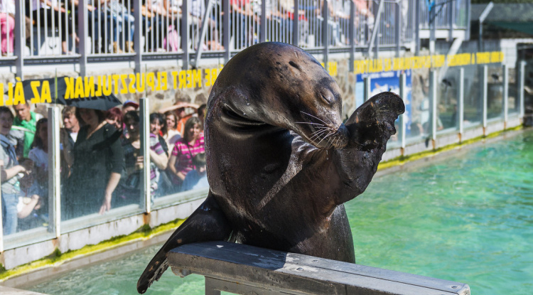 Több mint 600 ezer vendégéjszaka a hosszú hétvégén – Nyíregyháza a nyertesek között!