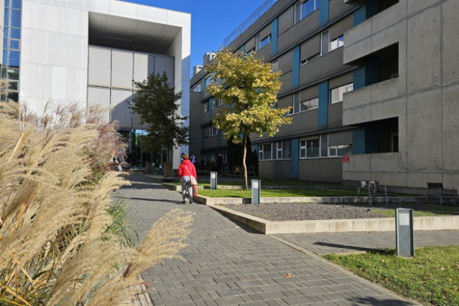 A megye ápolóit köszöntik Nyíregyházán a Magyar Ápolók Napja alkalmából