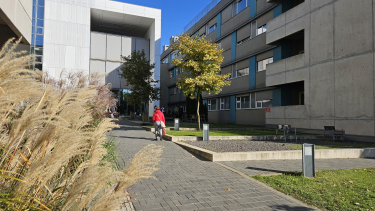 A megye ápolóit köszöntik Nyíregyházán a Magyar Ápolók Napja alkalmából