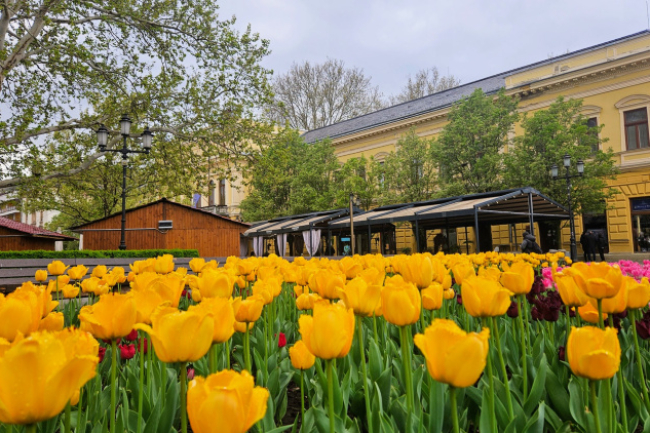 Online lakossági fórum a nyíregyházi közlekedésfejlesztésről