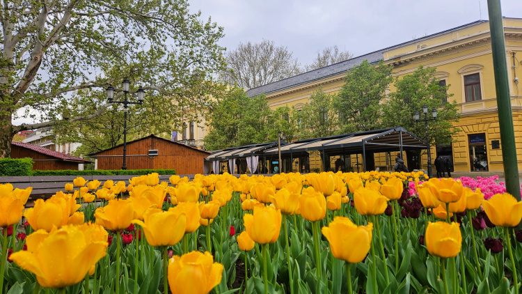 Online lakossági fórum a nyíregyházi közlekedésfejlesztésről