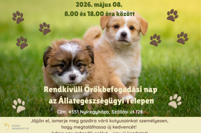Rendkívüli örökbefogadási napot tartanak Nyíregyházán