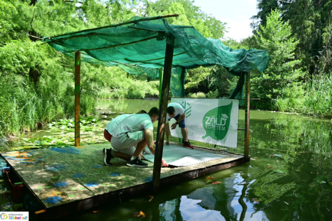 PET Kupára készülnek az egyetemisták – A tavalyi siker után ismét indul a nyíregyházi intézmény
