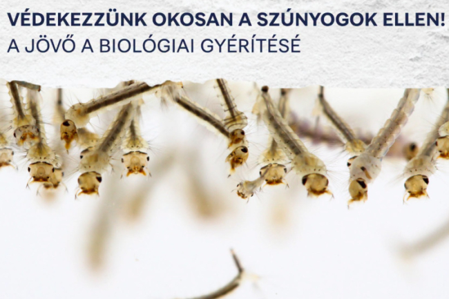 Biológiai szúnyoggyérítésre állna át az ország – Gajdos László szerint a minisztérium egyik kiemelt feladata lesz