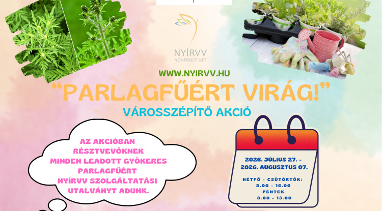 „Parlagfűért virág!” – Ismét elindul a városszépítő akció