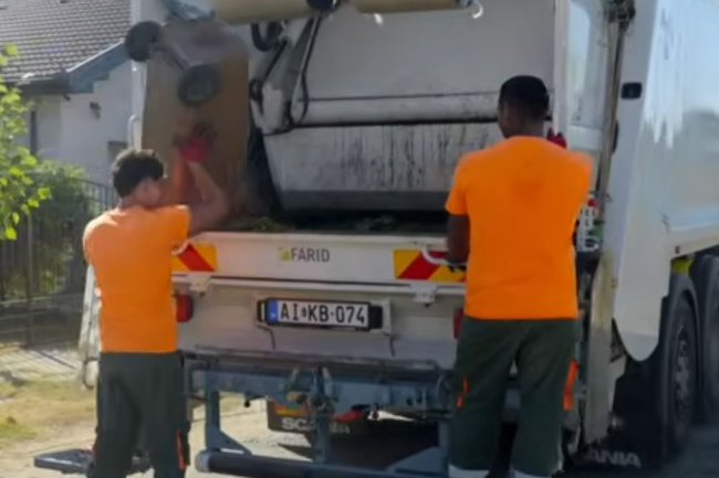 Zöldhulladék-szállítás Nyíregyházán – fontos tudnivalók a lakosságnak